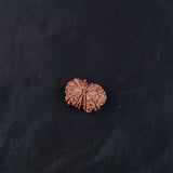 Rudraksha 11 Face