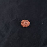 Rudraksha 12 Face