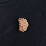 Rudraksha 1 Face