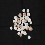 Gomadhi Chakram - 50 grams Packet - For Lakshmi Pujai & for Sacred Prayers