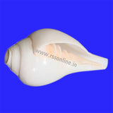 Blowing Conch(Sangu)