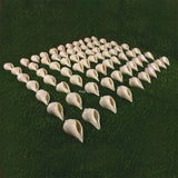 Edampuri Sangu(Conch)