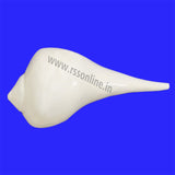 Grinded Valampuri Sangu(Conch)