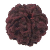 Rudraksha 5 Face