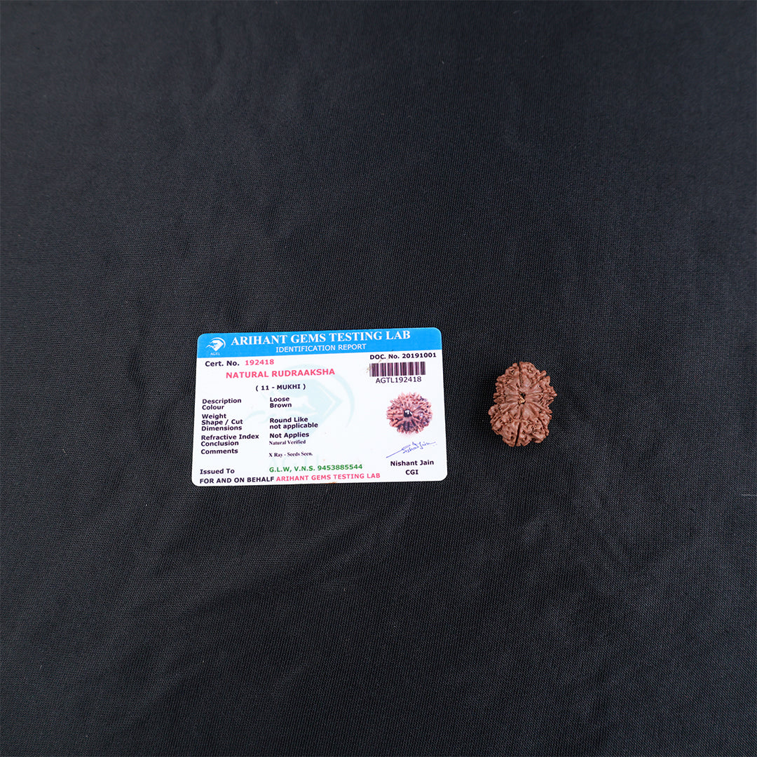 Rudraksha 11 Face