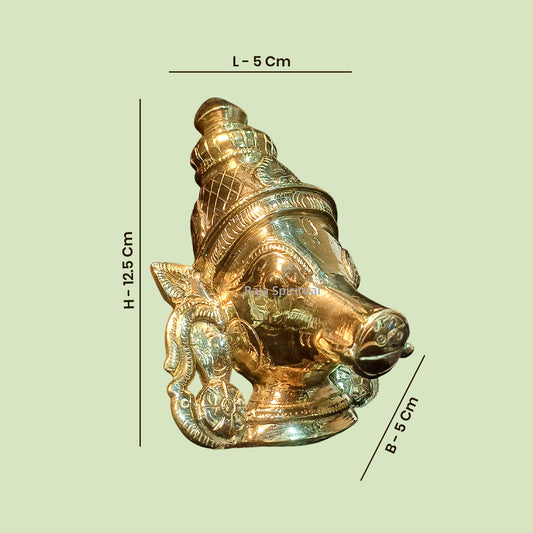 Amman Face - Moulded Varahi Face