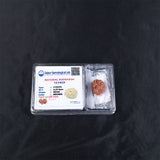 Rudraksha 12 Face