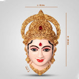 Varalakshmi Face - Fiber