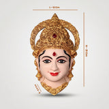 Varalakshmi Face - Fiber