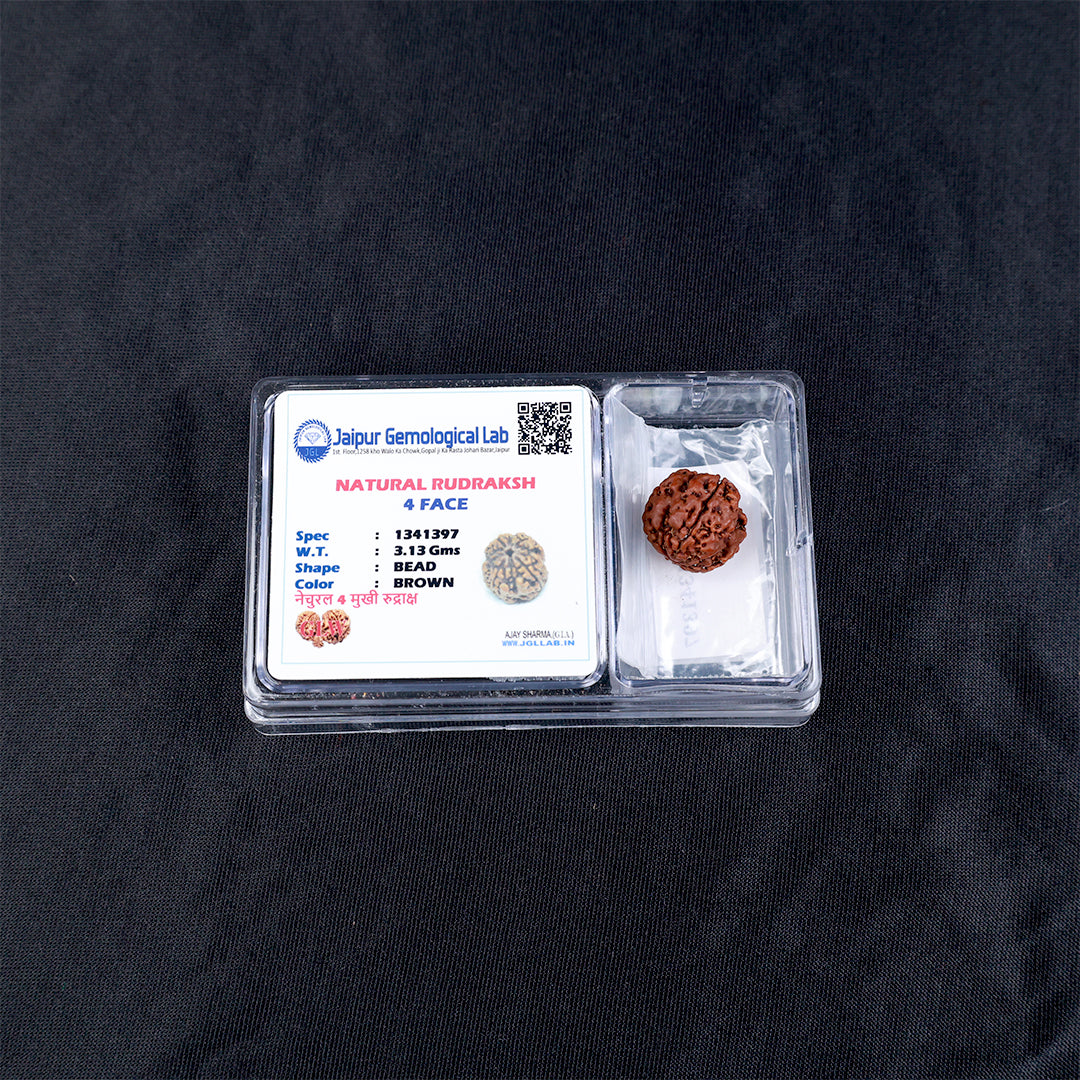 Rudraksha 4 Face