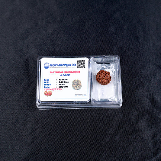 Rudraksha 4 Face