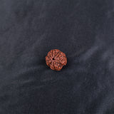 Rudraksha 4 Face