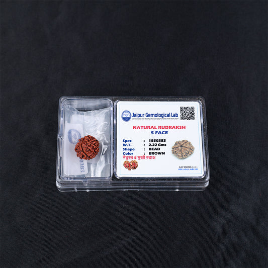 Rudraksha 5 Face