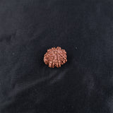 Rudraksha 8 Face