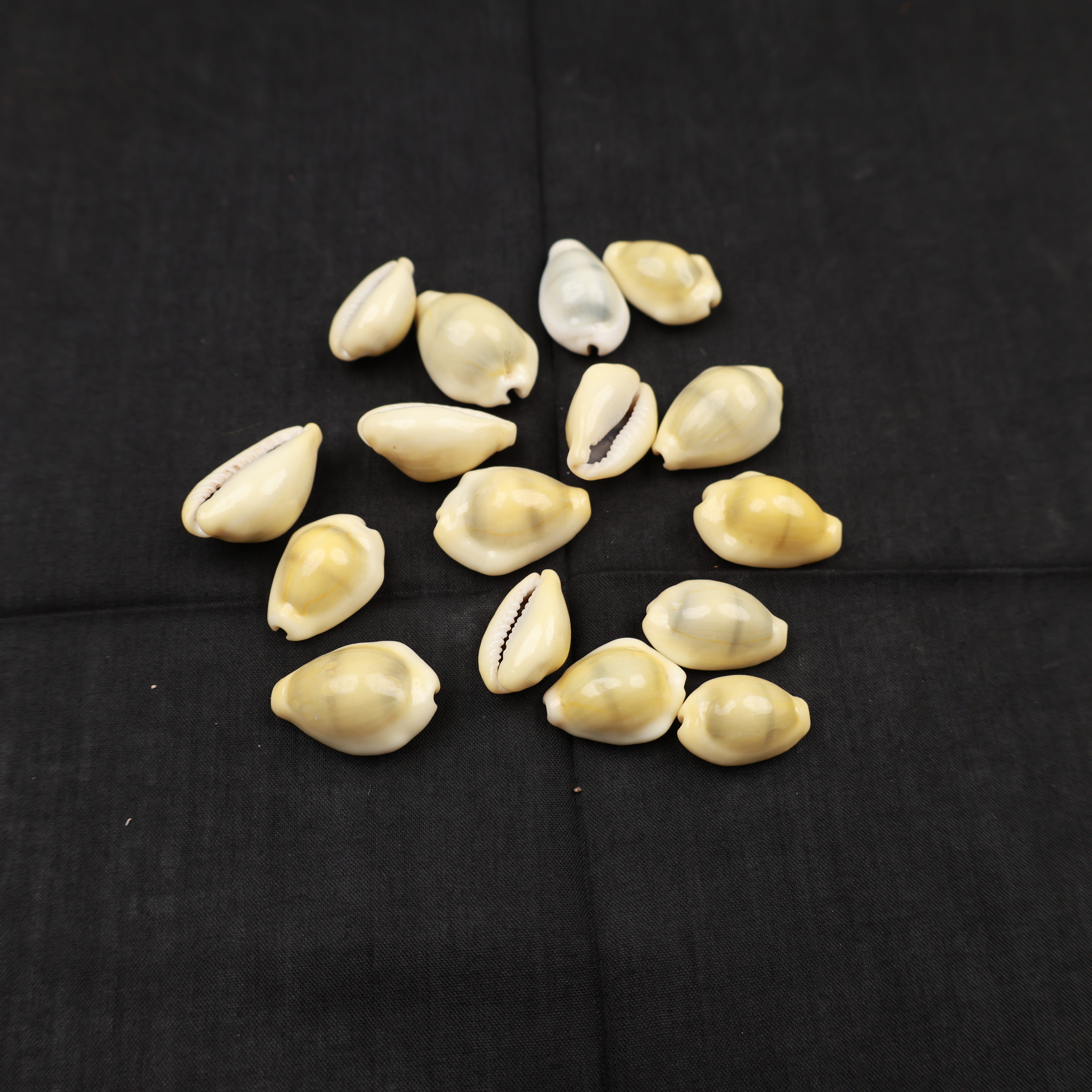Chozhi Yellow - 50 grams Packet - For Lakshmi Pujai and for Prayers