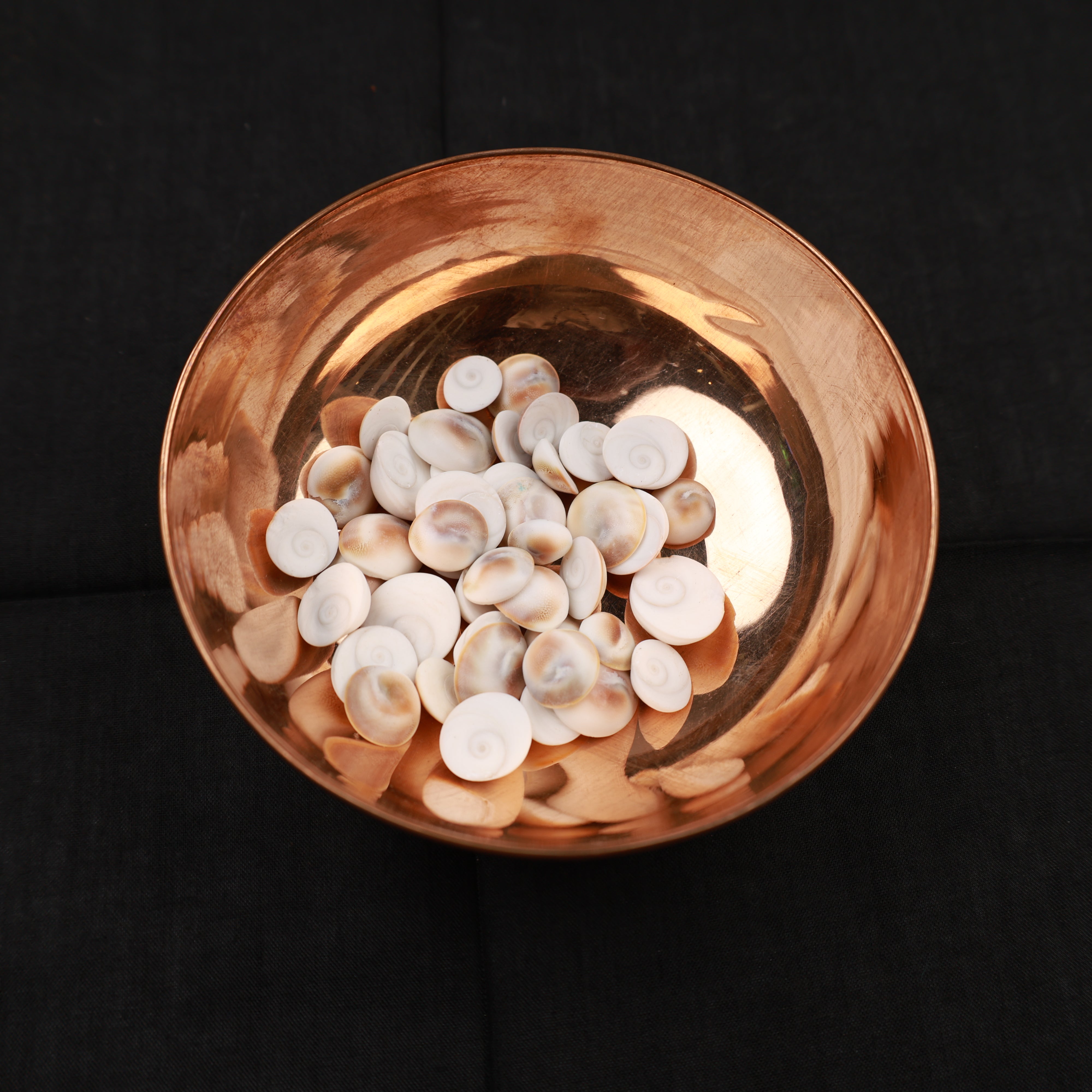 Gomadhi Chakram - 50 grams Packet - For Lakshmi Pujai & for Sacred Prayers