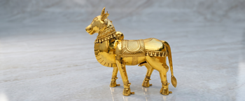 <p>Trustee,<span class="metafield-multi_line_text_field">Sri Nataraja Temple Heritage Trust</span></p>