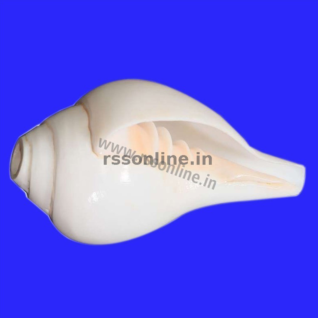 Blowing Conch(Sangu)