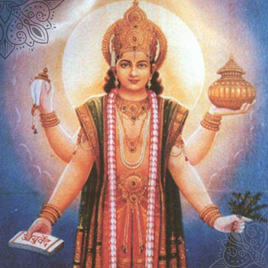 Dhanvantri Homa Package