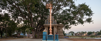 <p>Trustee,<span class="metafield-multi_line_text_field">Temple Trust</span></p>