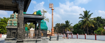 <p>Trustee,<span class="metafield-multi_line_text_field">Temple Trust</span></p>