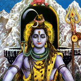 Mrityunjaya Homam Package